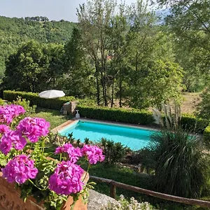 Casentino - Fattoria Ventrina Alloggio per agriturismo